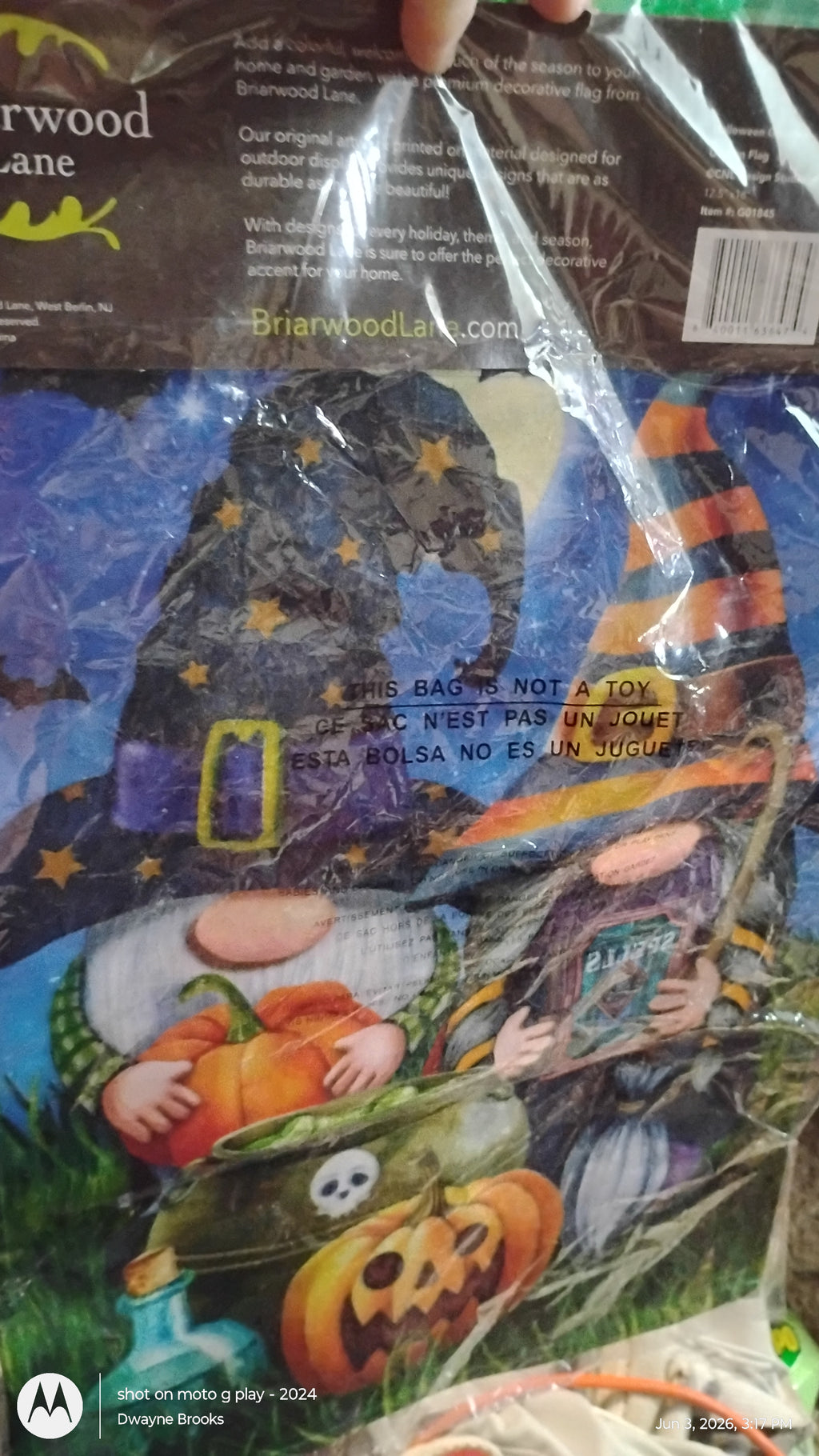 Gnome garden flag