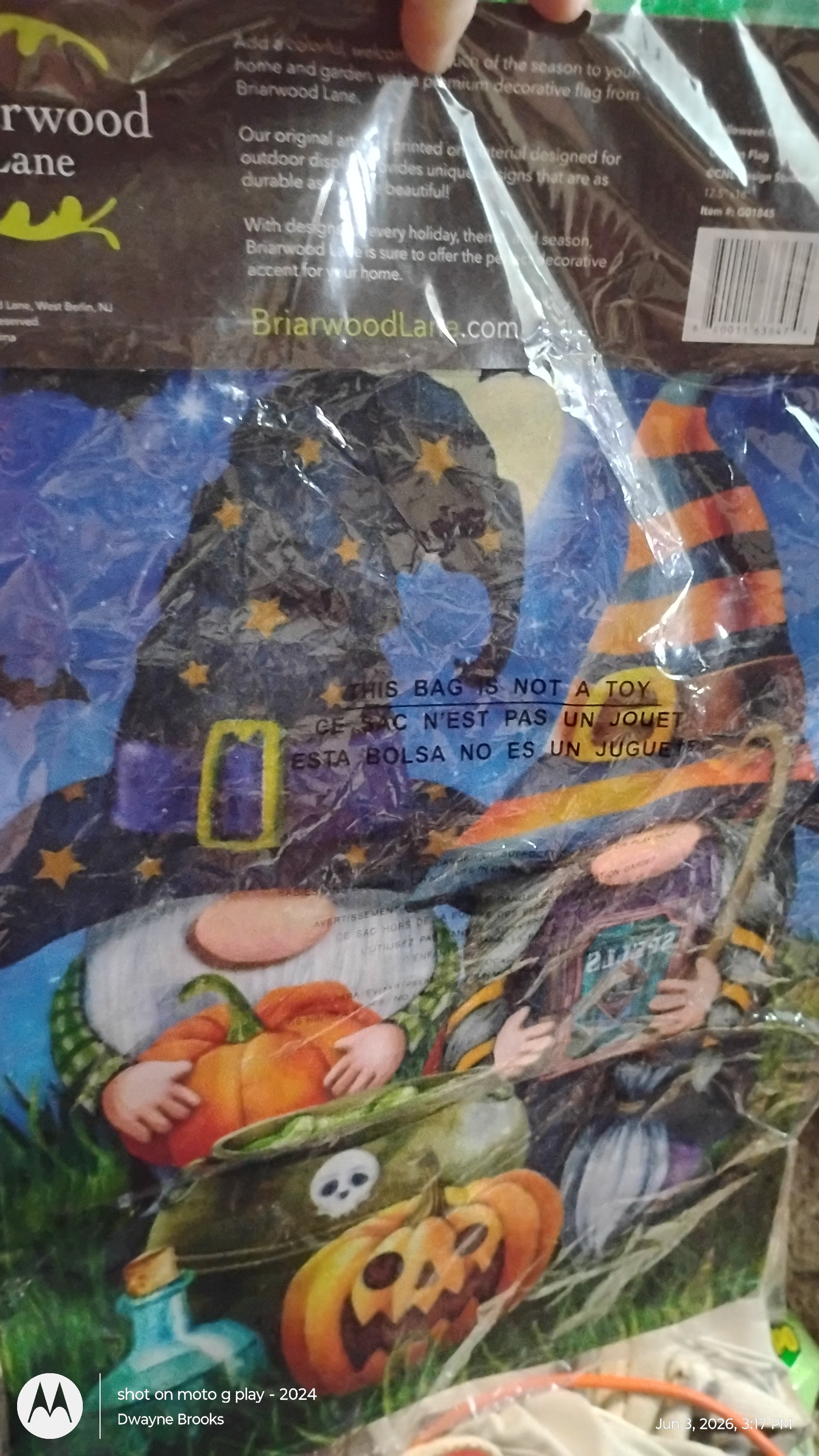 Gnome garden flag